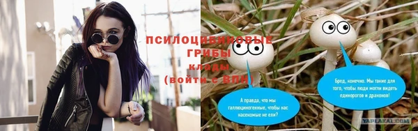 гидра Алексеевка