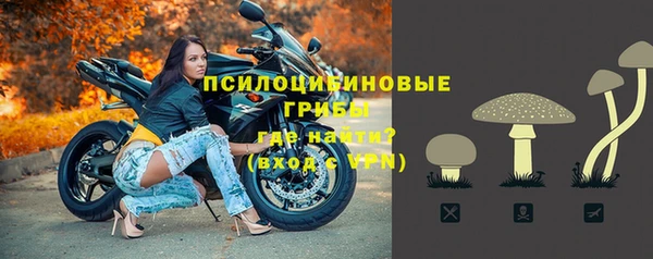 гидра Алексеевка