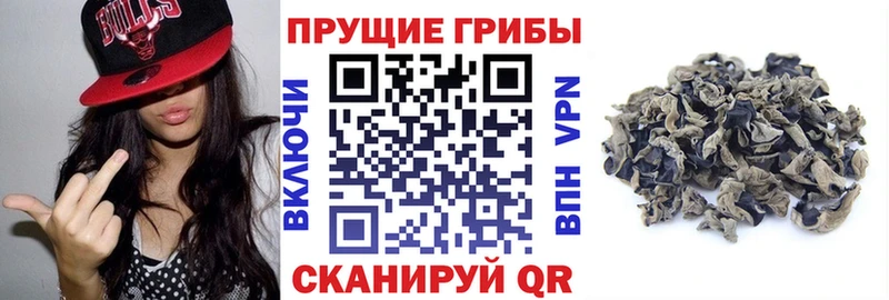 Галлюциногенные грибы GOLDEN TEACHER Фролово