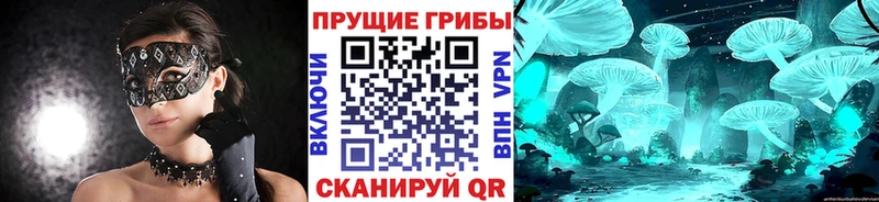 kraken ССЫЛКА  Фролово  Псилоцибиновые грибы мухоморы 