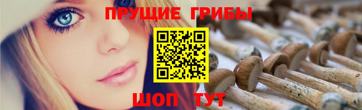 Галлюциногенные грибы ЛСД Фролово